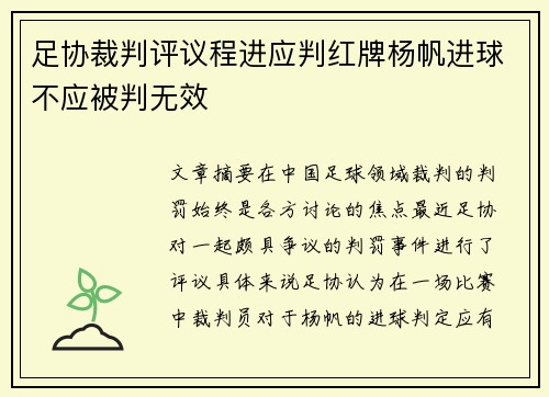 足协裁判评议程进应判红牌杨帆进球不应被判无效